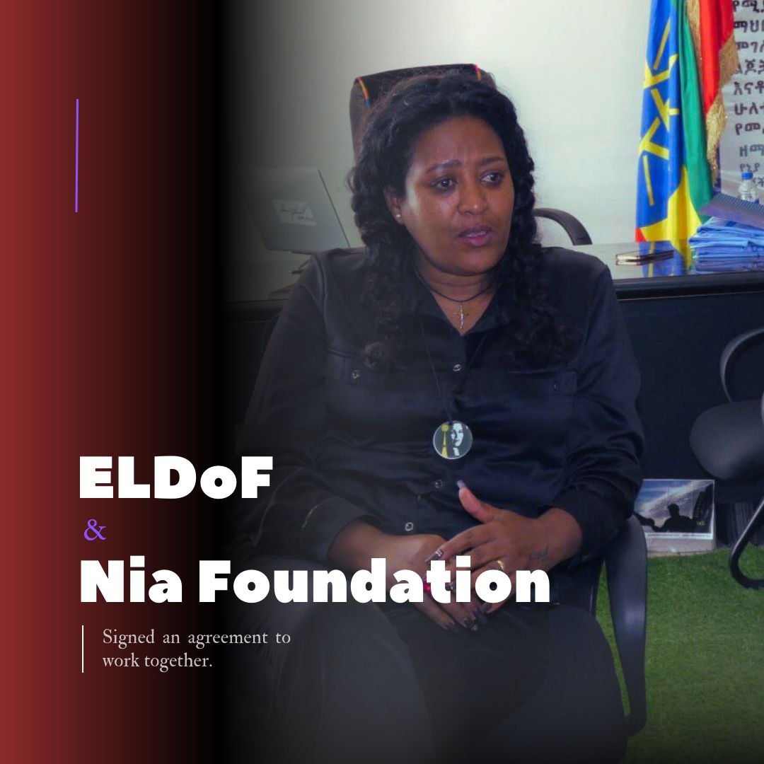 Nia Foundation Collaboration 1